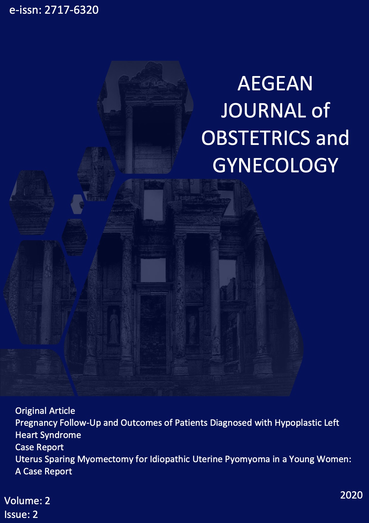 					View Vol. 2 No. 2 (2020): Aegean Journal of Obstetrics and Gynecology
				